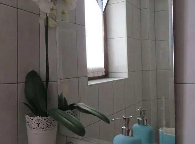 Leone With Free Parking Pola